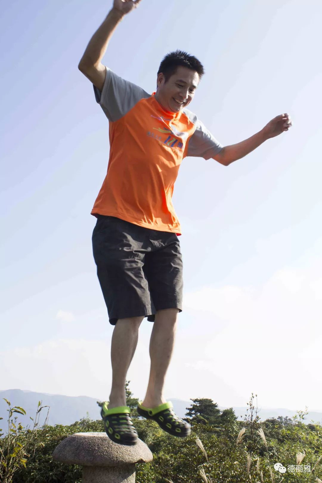 �����Ň��c����